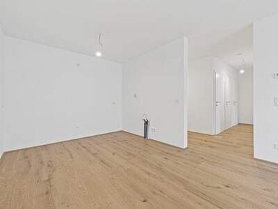 Terrassenwohnung kaufen in 2540 Bad Vöslau (Bild 4)