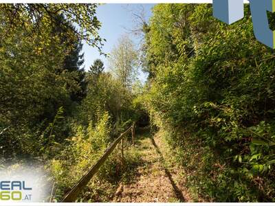 Grundstück kaufen in 4201 Gramastetten (Bild 5)