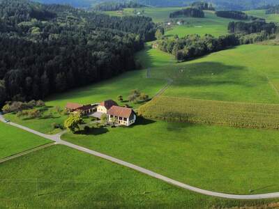 Gewerbeobjekt kaufen in 9431 Thürn