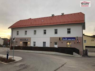 Wohnung mieten in 2733 Grünbach