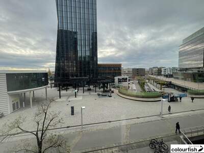 Gewerbeobjekt mieten in 1220 Wien (Bild 4)