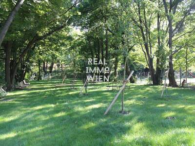 Wohnung mieten in 1180 Wien (Bild 2)