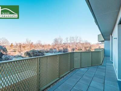 Terrassenwohnung kaufen in 1210 Wien (Bild 4)