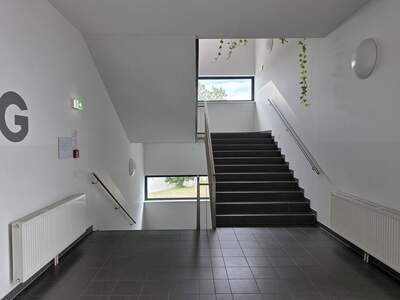 Gewerbeobjekt mieten in 8055 Graz (Bild 3)