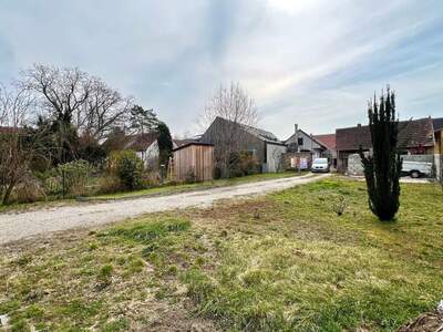 Grundstück kaufen in 3462 Absdorf (Bild 2)