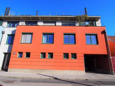 Halle / Lager / Produktion mieten in 1230 Wien (Bild 5)