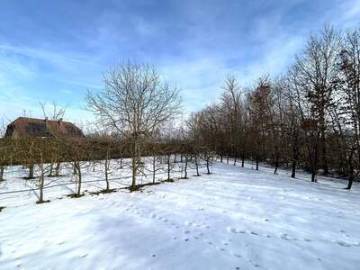 Grundstück kaufen in 4070 Eferding