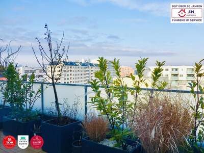 Terrassenwohnung kaufen in 1040 Wien (Bild 1)