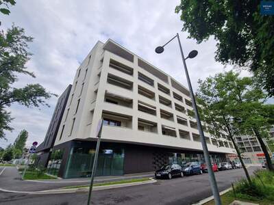 Apartment provisionsfrei mieten in 8020 Steiermark