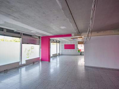 Gewerbeobjekt mieten in 1230 Wien (Bild 4)