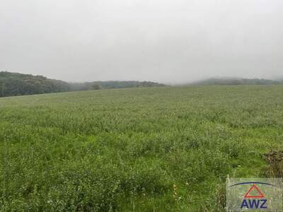 Gewerbeobjekt kaufen in 2162 Falkenstein