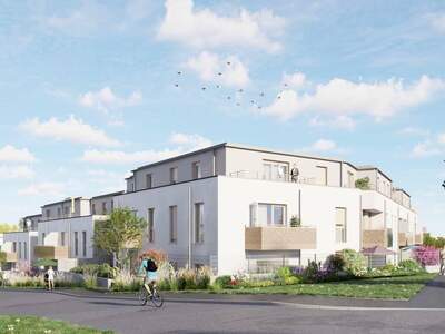 Wohnung mieten in 2020 Hollabrunn