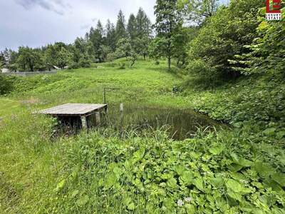 Gewerbeobjekt kaufen in 9135 Bad Eisenkappel