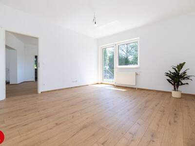 Einfamilienhaus mieten in 2320 Schwechat (Bild 4)