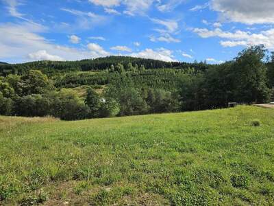 Grundstück kaufen in 4272 Weitersfelden