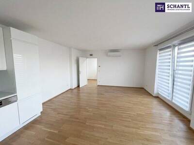 Terrassenwohnung mieten in 1220 Wien (Bild 3)