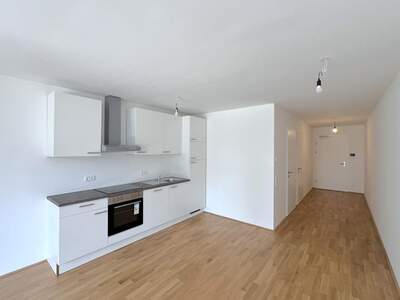 Terrassenwohnung mieten in 1110 Wien (Bild 5)