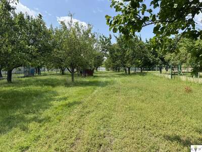 Haus kaufen in 2421 Kittsee