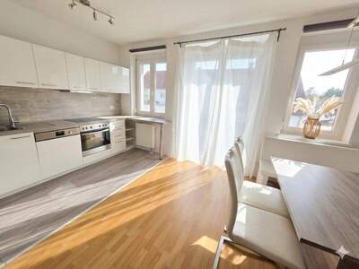 Terrassenwohnung kaufen in 2102 Bisamberg (Bild 1)