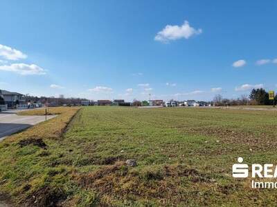 Grundstück kaufen in 4614 Marchtrenk (Bild 5)