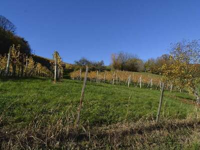 Haus kaufen in 8280 Fürstenfeld