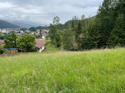 Grundstück kaufen in 8650 Kindberg (Bild 3)