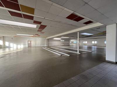 Gewerbeobjekt mieten in 2351 Wiener Neudorf (Bild 5)