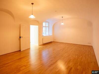 Gewerbeobjekt mieten in 1010 Wien (Bild 1)