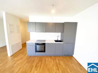 Terrassenwohnung mieten in 1110 Wien (Bild 2)