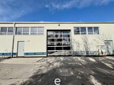 Gewerbeobjekt mieten in 2345 Brunn (Bild 2)