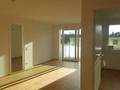 Apartment provisionsfrei mieten in 1230 Wien