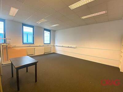 Gewerbeobjekt mieten in 1230 Wien (Bild 4)