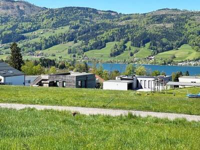Grundstück kaufen in 4893 Zell