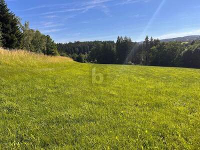Grundstück kaufen in 4092 Esternberg