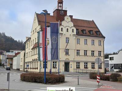 Haus mit Garten kaufen in 4701 Bad Schallerbach