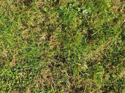 Grundstück kaufen in 3353 Seitenstetten