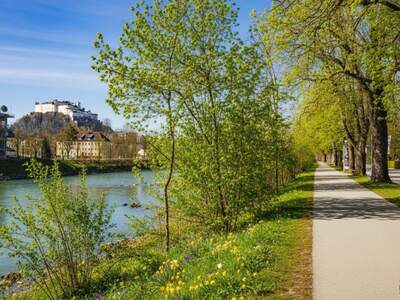 Apartment provisionsfrei mieten in 5020 Salzburg