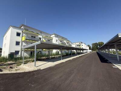 Terrassenwohnung mieten in 2442 Unterwaltersdorf (Bild 4)