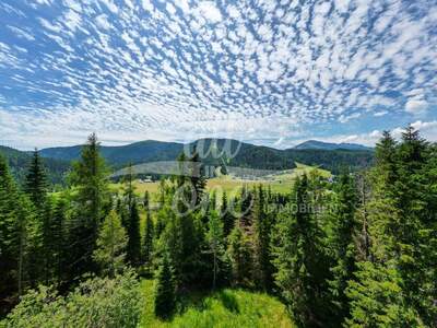 Grundstück kaufen in 9346 Flattnitz