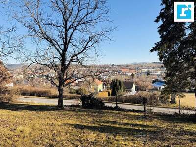 Grundstück kaufen in 7423 Pinkafeld