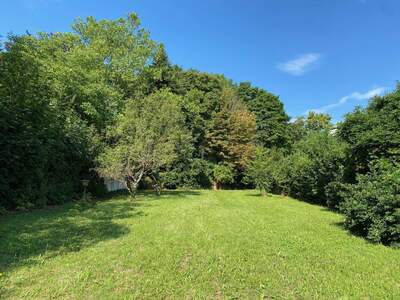 Grundstück kaufen in 2372 Gießhübl