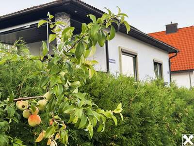 Haus mit Garten kaufen in 2630 Pottschach (Bild 1)