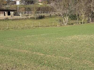 Grundstück kaufen in 3701 Ameisthal