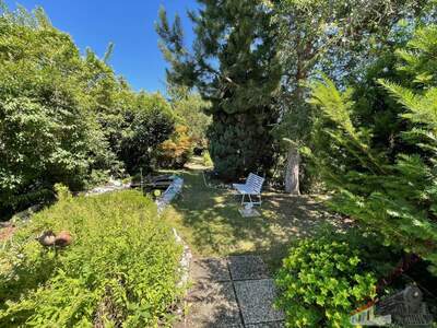 Haus kaufen in 2512 Tribuswinkel