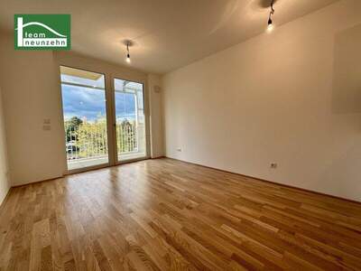 Terrassenwohnung mieten in 1220 Wien (Bild 3)