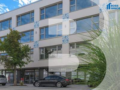 Gewerbeobjekt mieten in 4050 Traun (Bild 1)