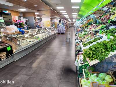 Gewerbeobjekt mieten in 5020 Salzburg