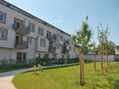 Wohnung mieten in 4600 Wels