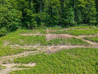 Etagenwohnung kaufen in 4820 Bad Ischl