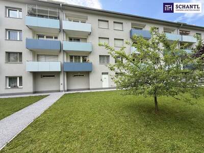 Terrassenwohnung kaufen in 8042 Graz (Bild 3)